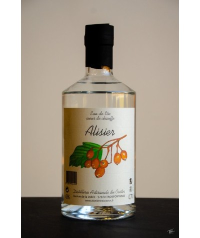 Alisier